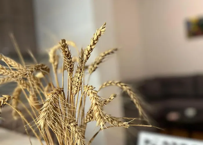 Apartment Tirana Leasing&rentals