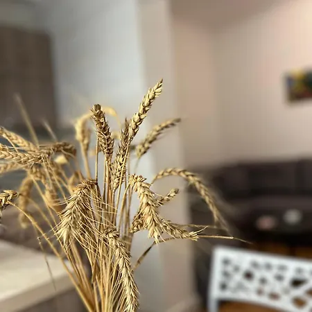 Appartement Tirana Leasing&rentals