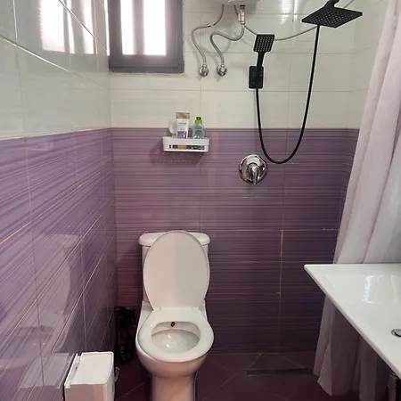 Tirana Leasing&rentals Selita e Vogel